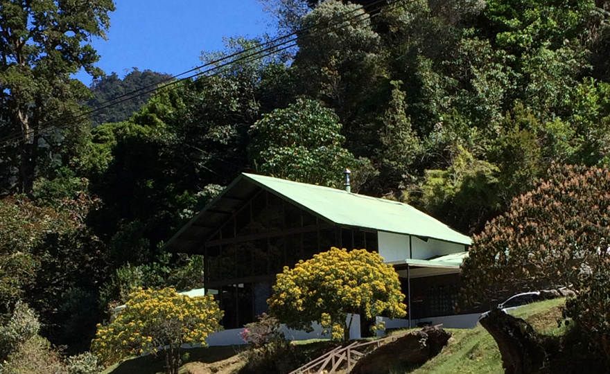 Weekend in the Mountains